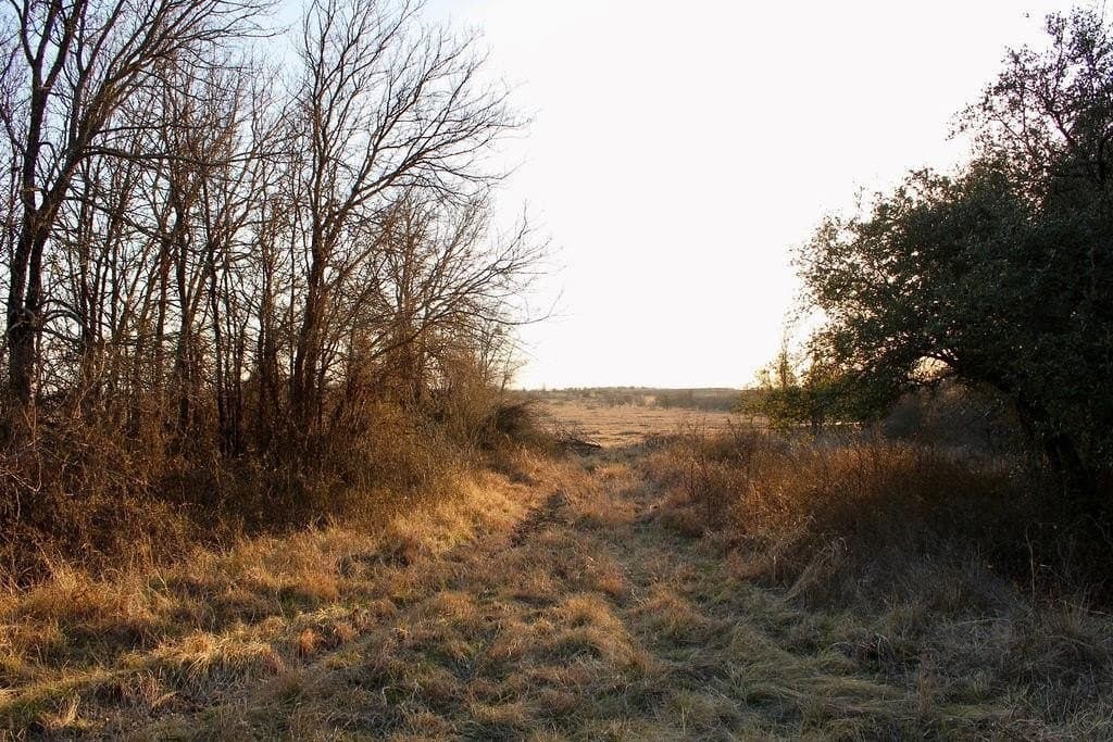 10.01 acres in Comanche County - photo 24