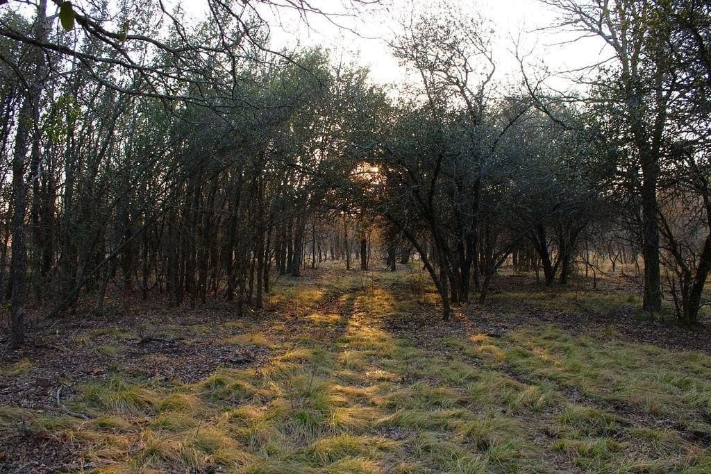 10.01 acres in Comanche County - photo 22