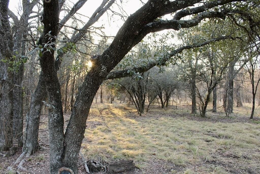 10.01 acres in Comanche County - photo 14