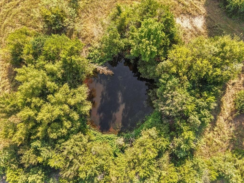 19.84 acres in Freestone County - photo 33
