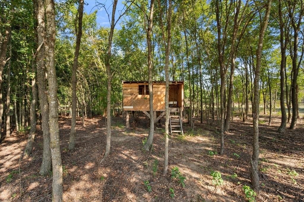 19.84 acres in Freestone County - photo 30