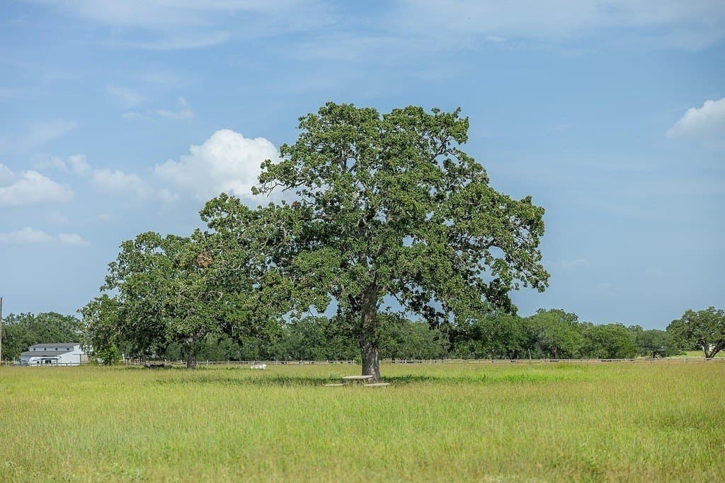 59 acres in Fayette County - photo 26