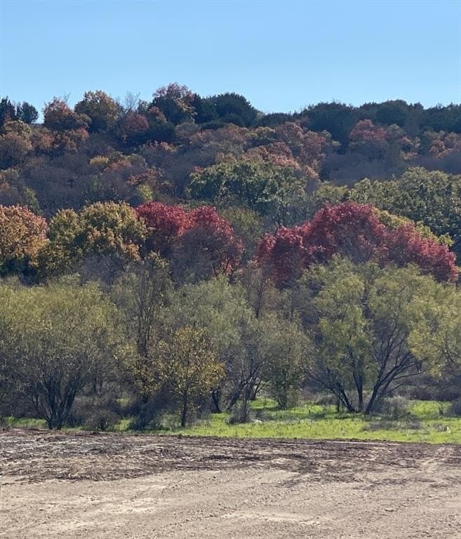 10.1 acres in Parker County - photo 5