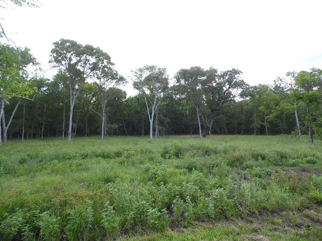 2.37 acres in Texas County - photo 2