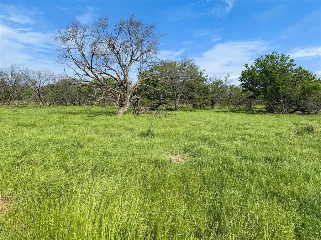 167 acres in Archer County - photo 40