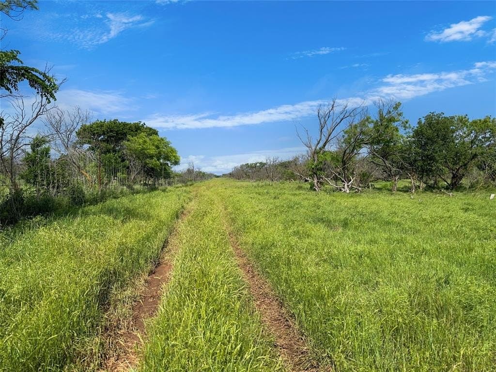 167 acres in Archer County - photo 39