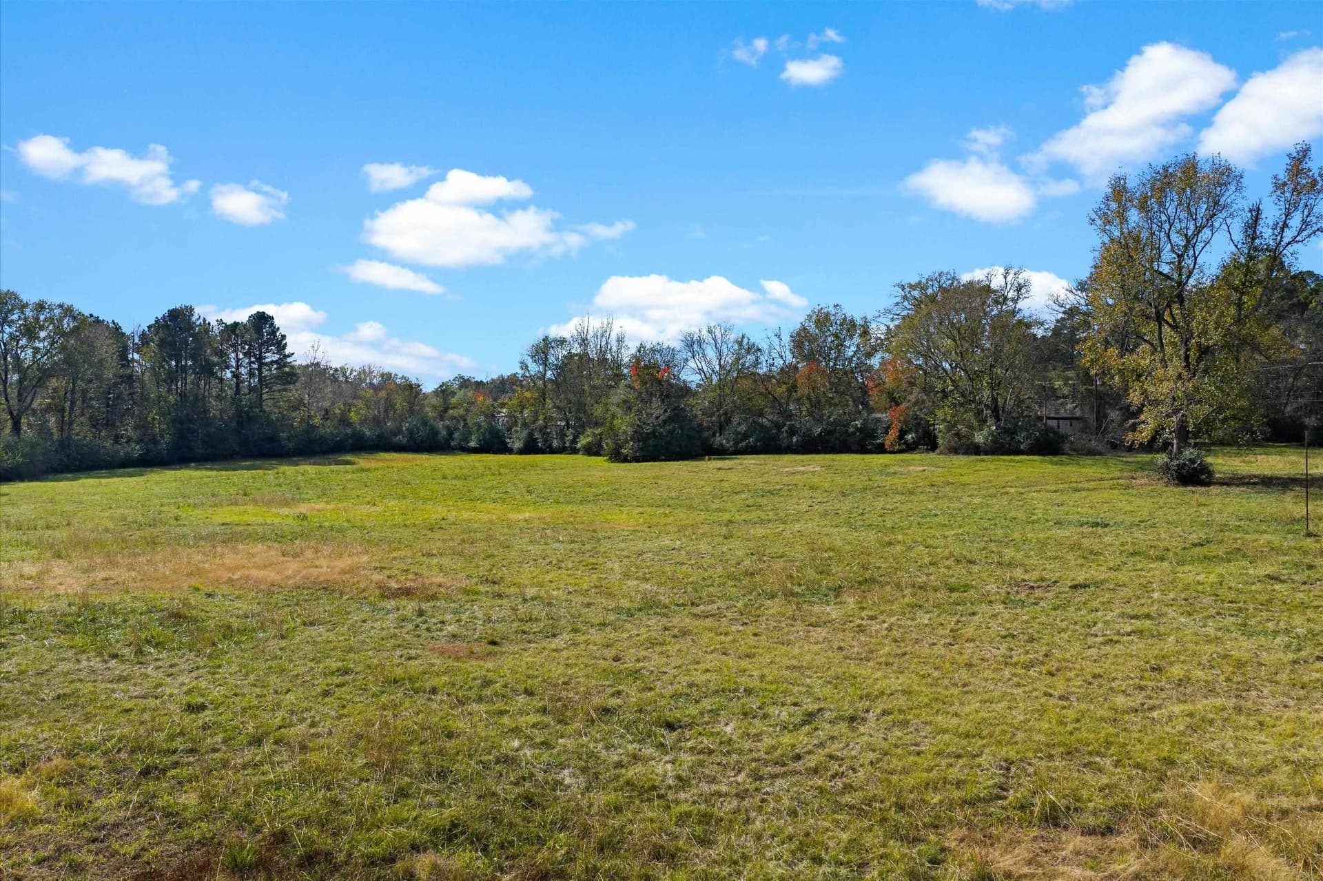 11.5 acres in Panola County - photo 7