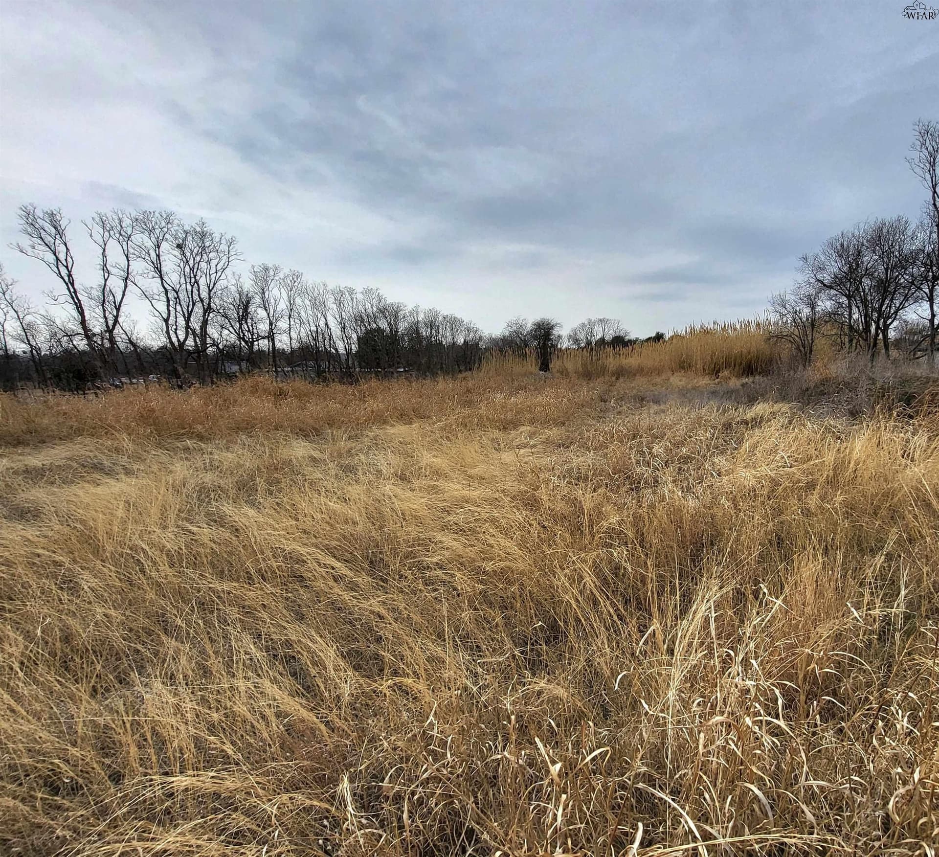3 acres in Wichita County - photo 3