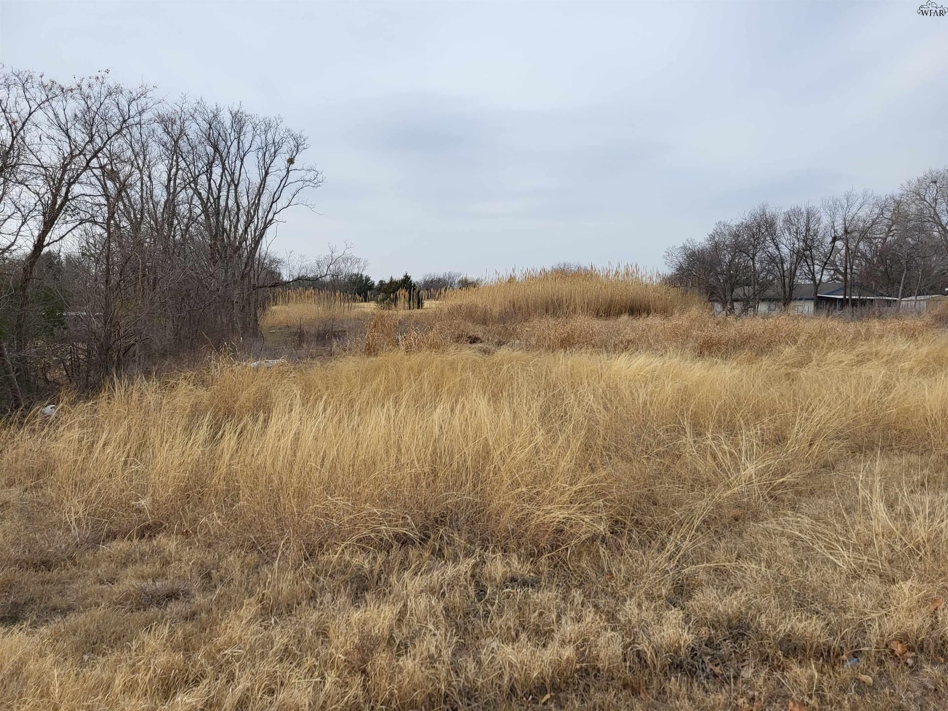 3 acres in Wichita County - photo 2