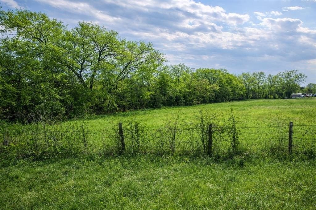 0.25 acres in Hunt County - photo 3