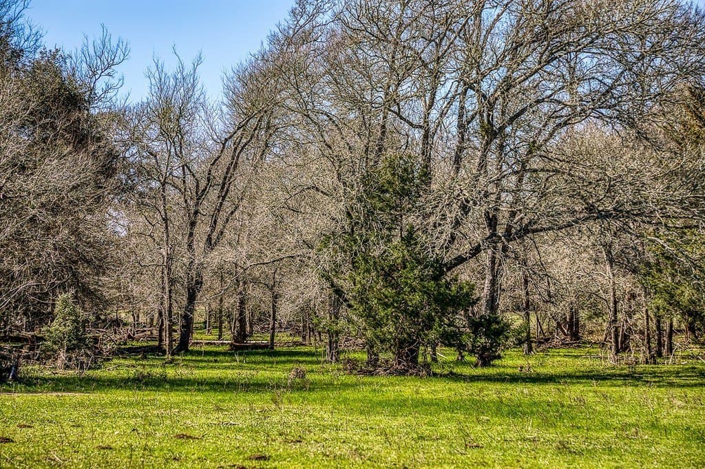 21.58 acres in Fayette County - photo 7
