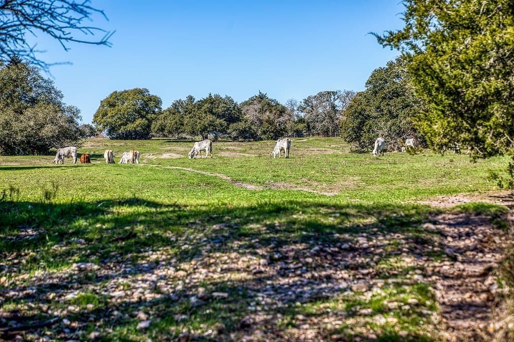 21.58 acres in Fayette County - photo 9