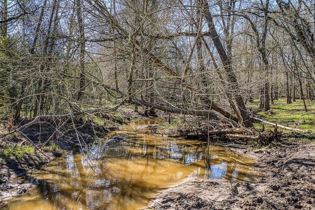 21.58 acres in Fayette County - photo 3