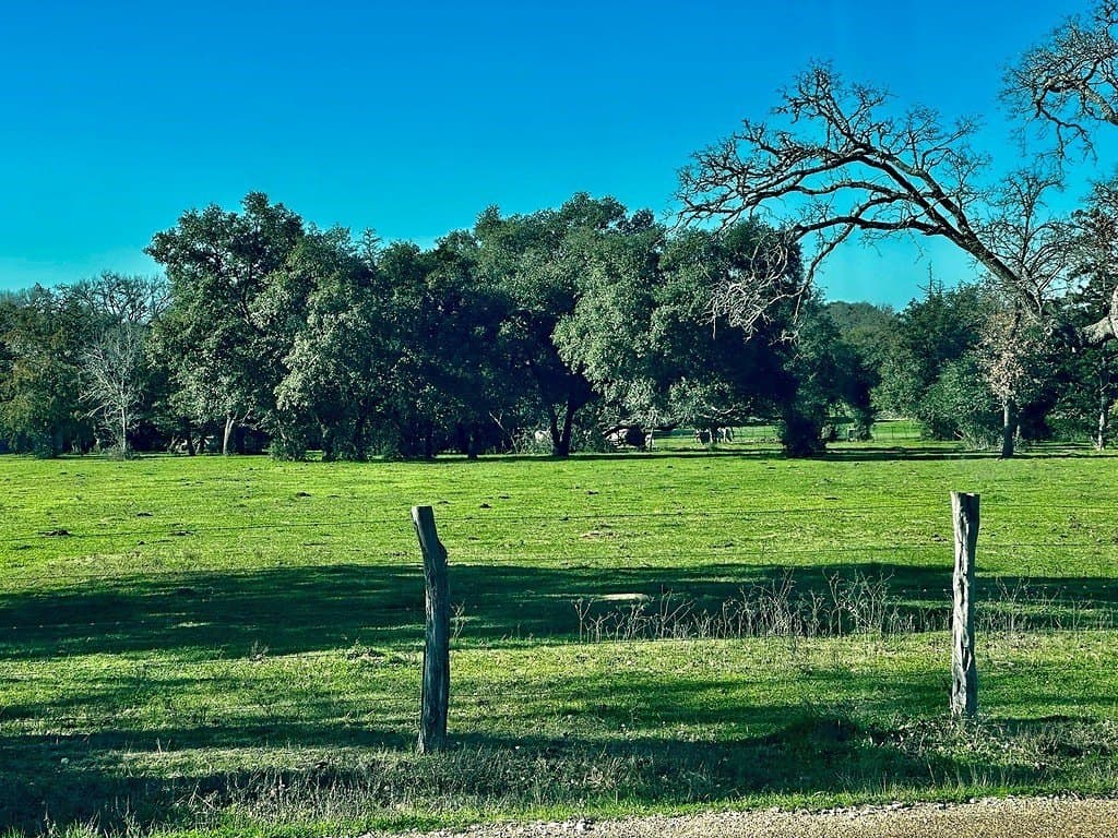 21.58 acres in Fayette County - photo 8
