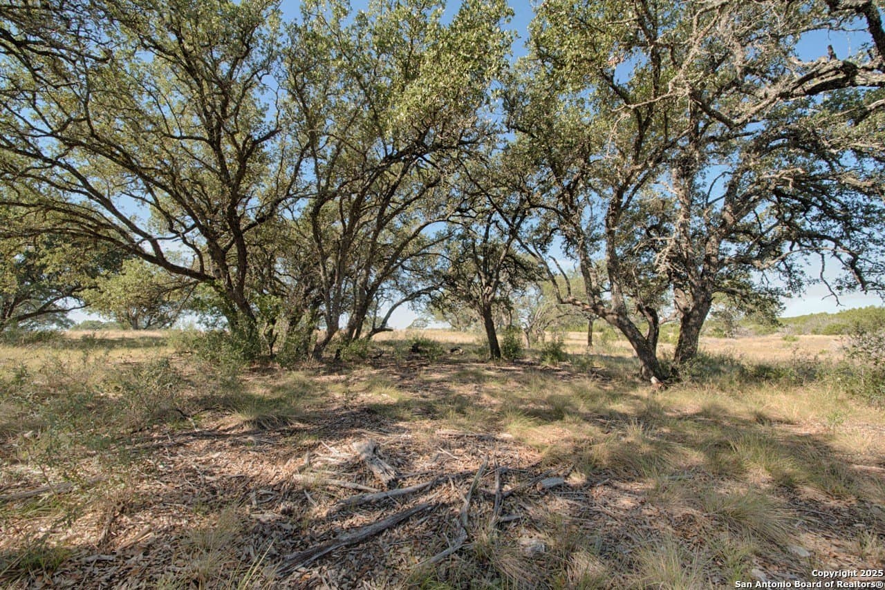 20 acres in Kimble County - photo 10