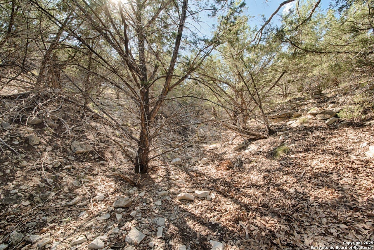 20 acres in Kimble County - photo 14