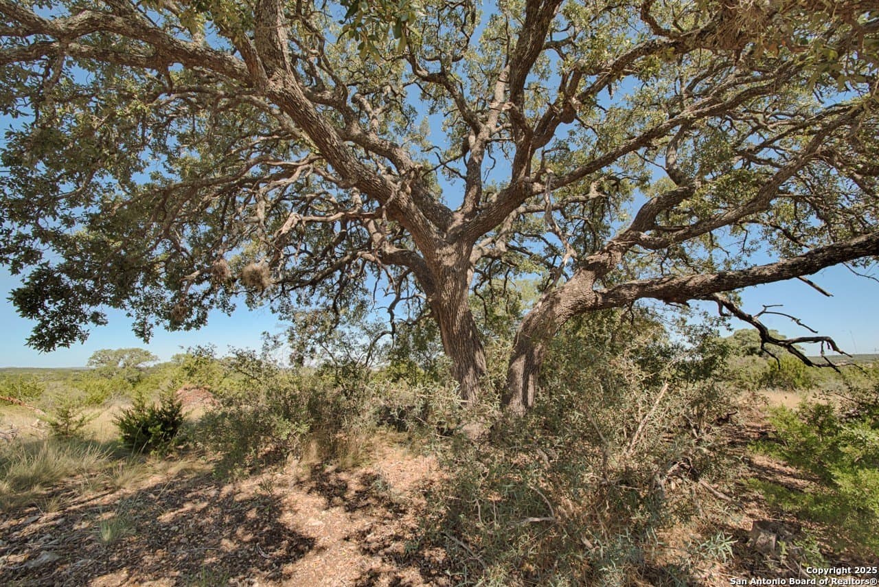 20 acres in Kimble County - photo 23