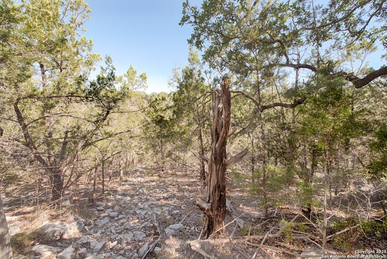 20 acres in Kimble County - photo 17