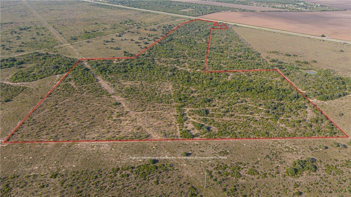 105.56 acres in Bee County - photo 3