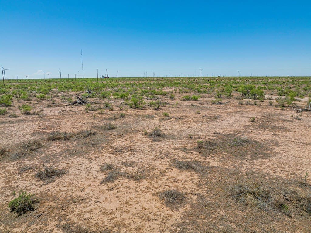 100 acres in Ector County - photo 19