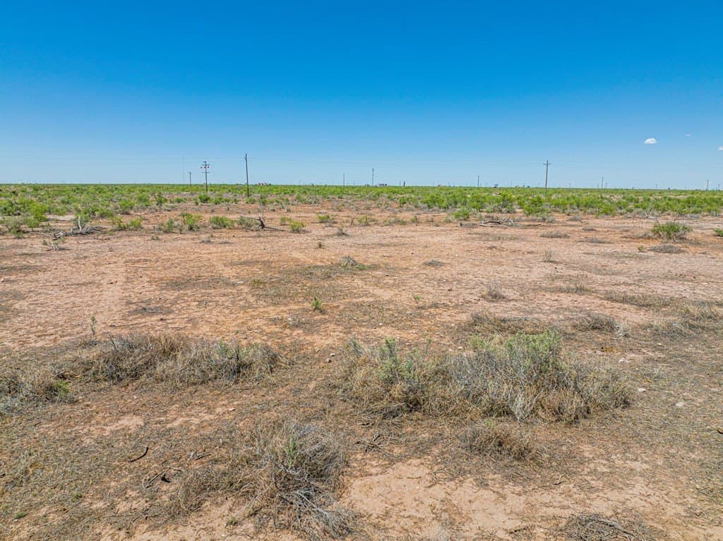 100 acres in Ector County - photo 21