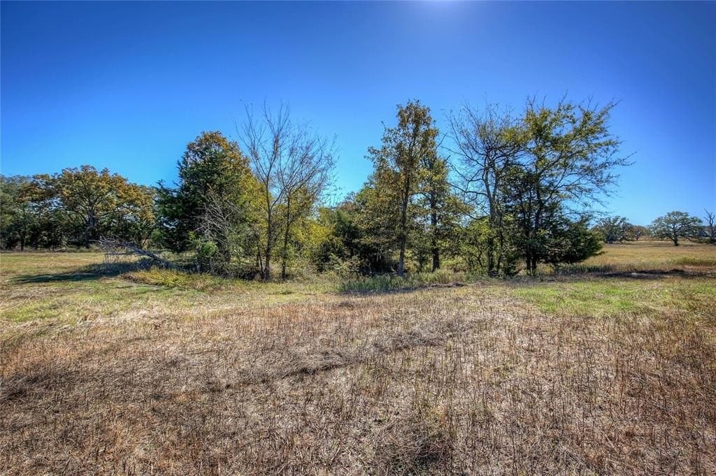 35.34 acres in Wood County - photo 6
