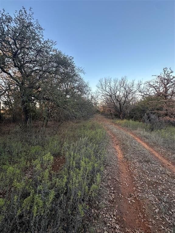 80.67 acres in Brown County - photo 8