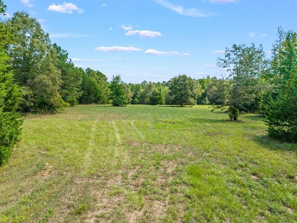 12 acres in Upshur County - photo 6