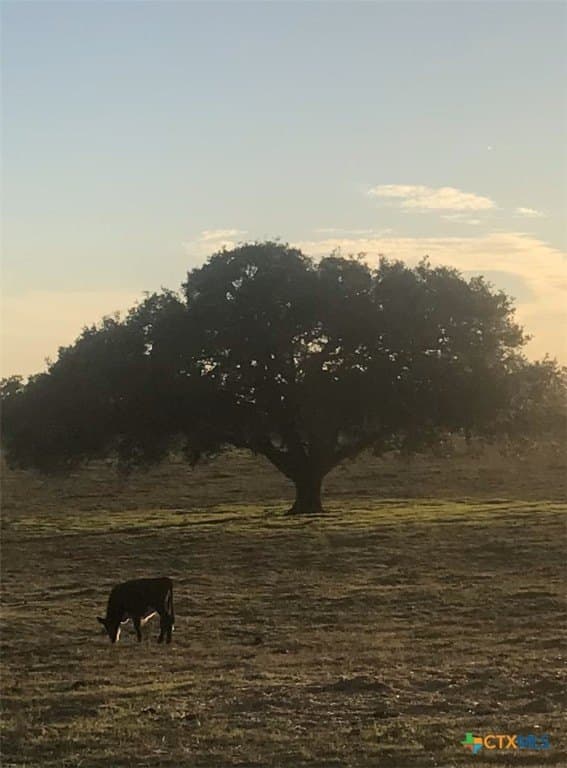 23.38 acres in Lavaca County - photo 22