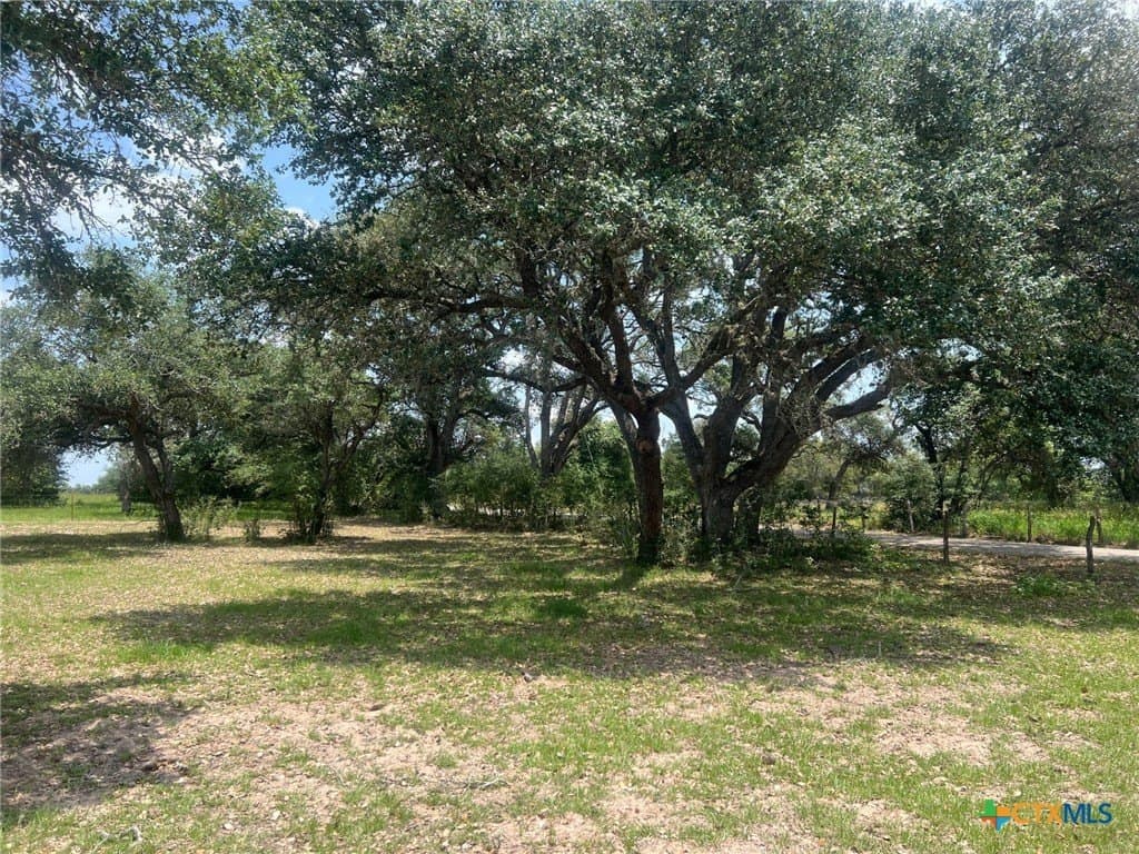 23.38 acres in Lavaca County - photo 3