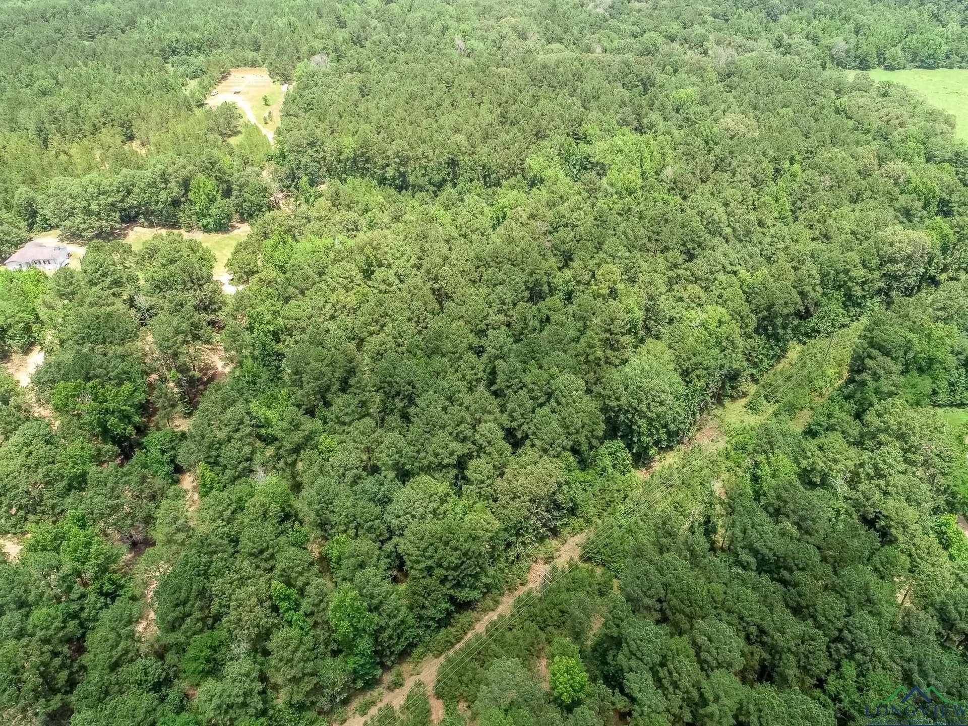 8.5 acres in Marion County - photo 3