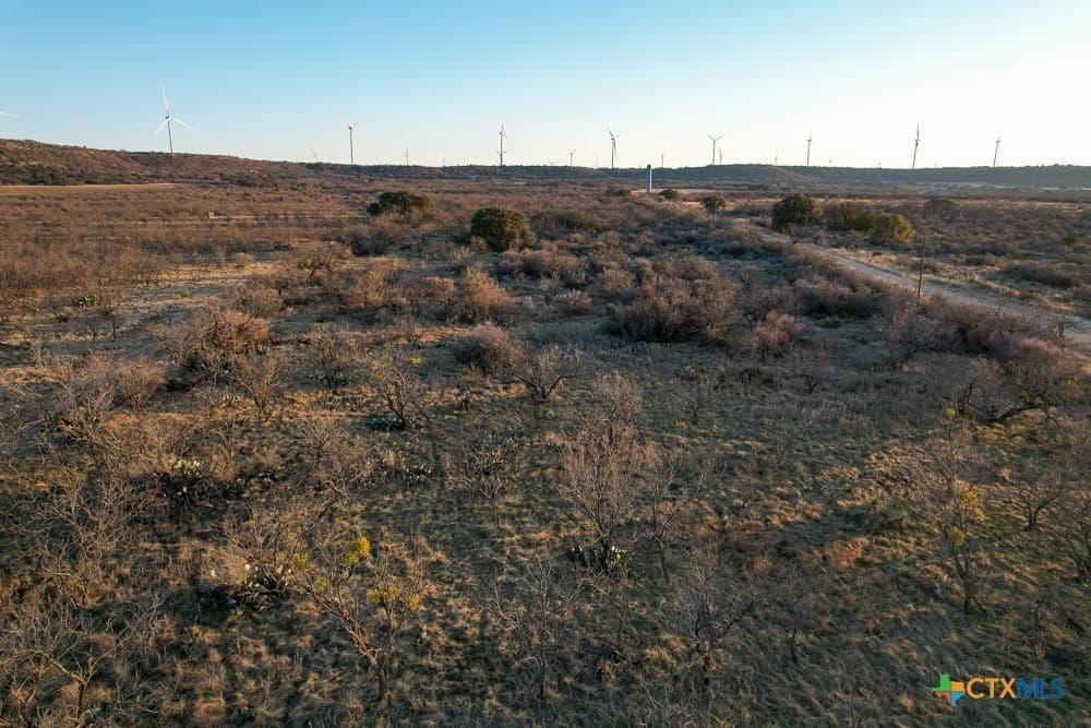 43 acres in McCulloch County - photo 5