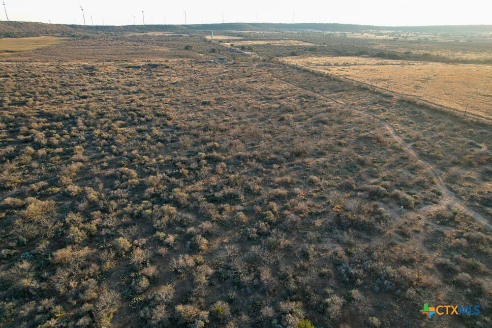 43 acres in McCulloch County - photo 2