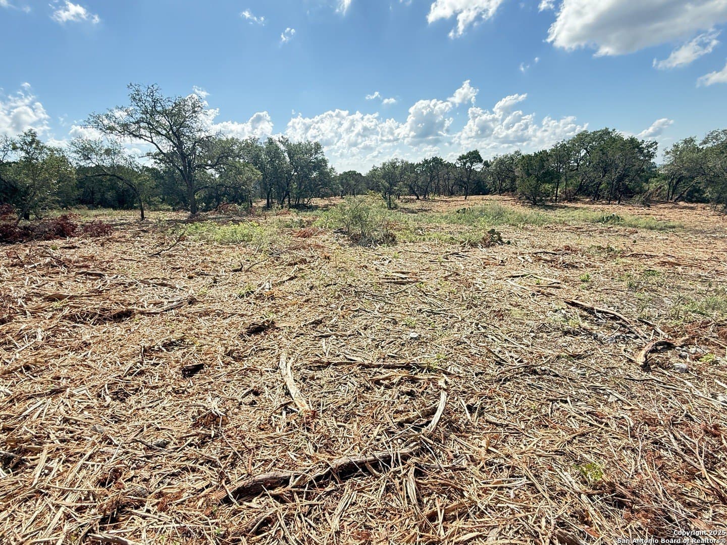 3.19 acres in Medina County - photo 4