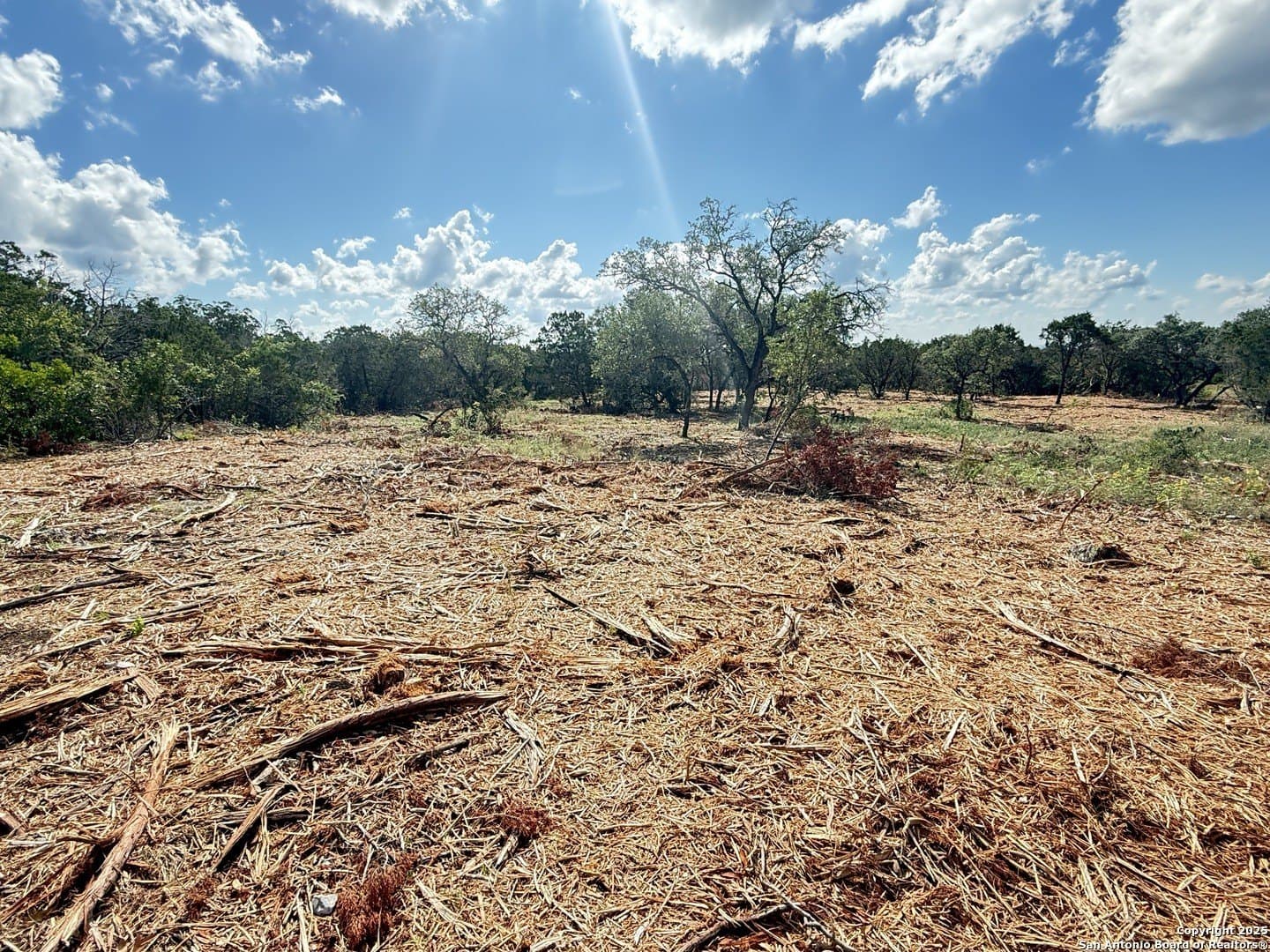 3.19 acres in Medina County - photo 5