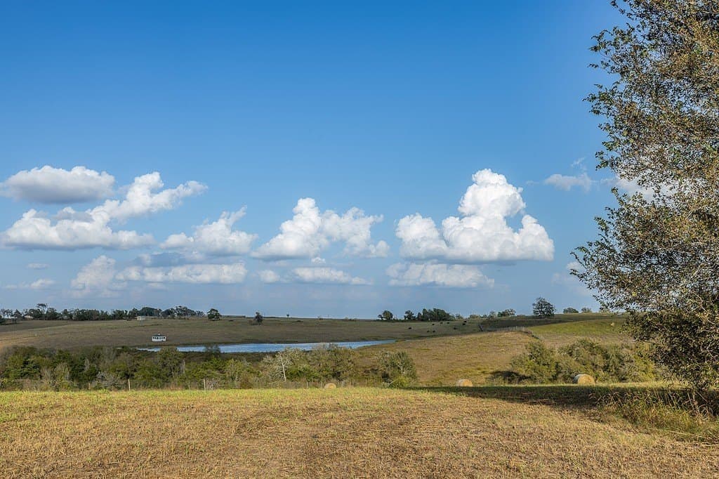 56.12 acres in Fayette County - photo 24