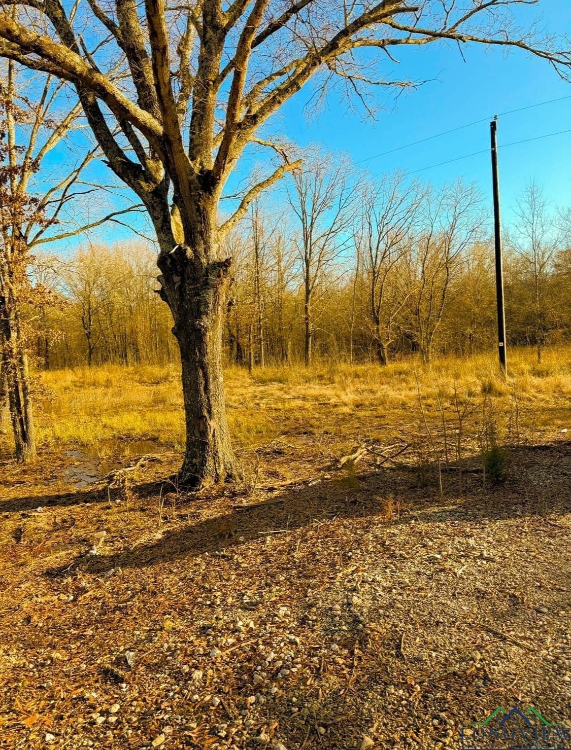 15 acres in Red River County - photo 9