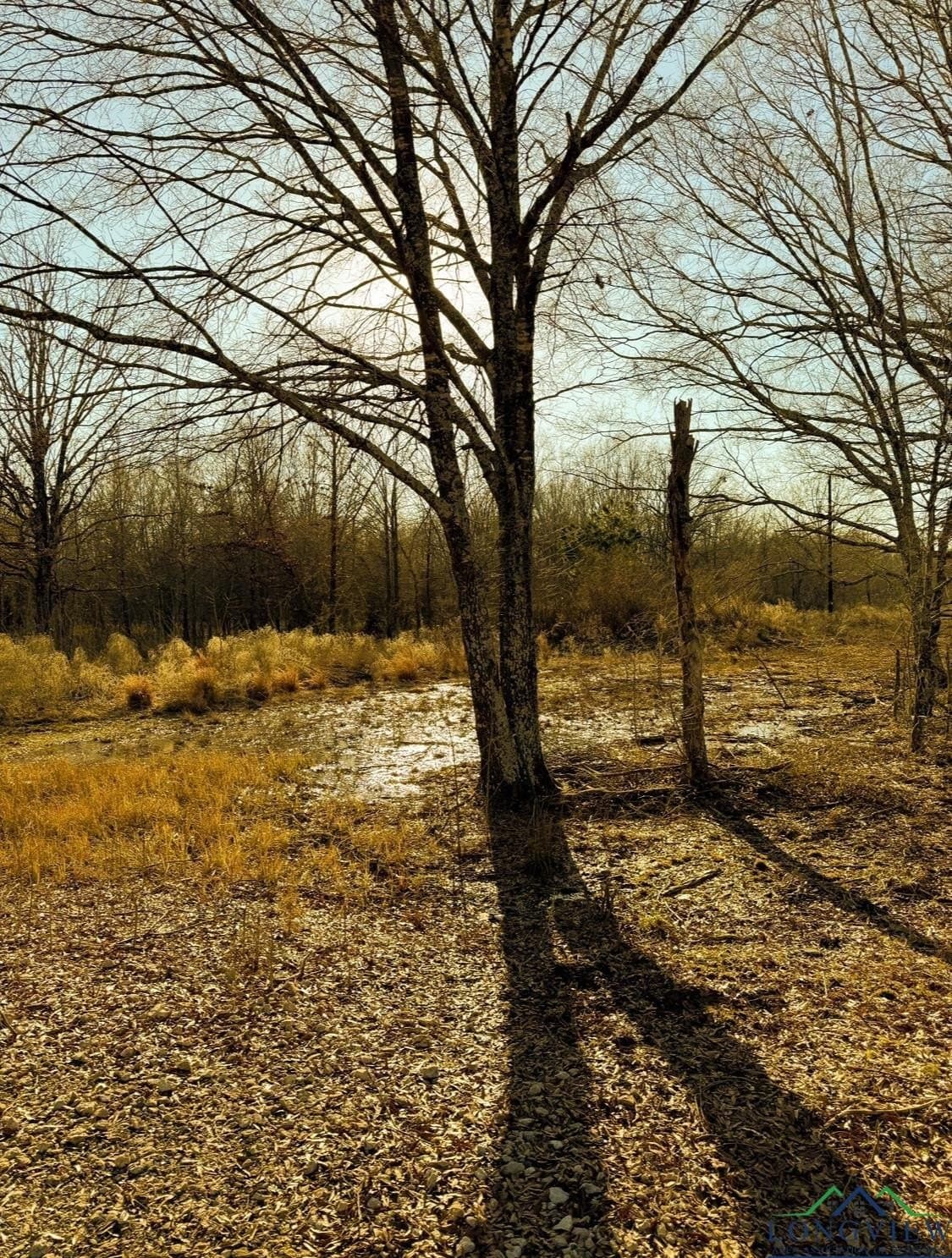 15 acres in Red River County - photo 7