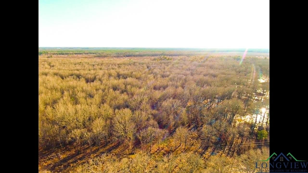 15 acres in Red River County - photo 4