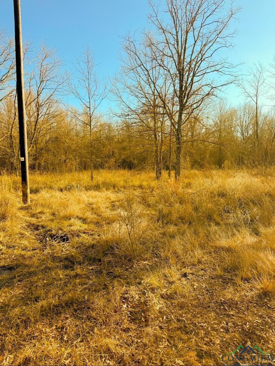 15 acres in Red River County - photo 10