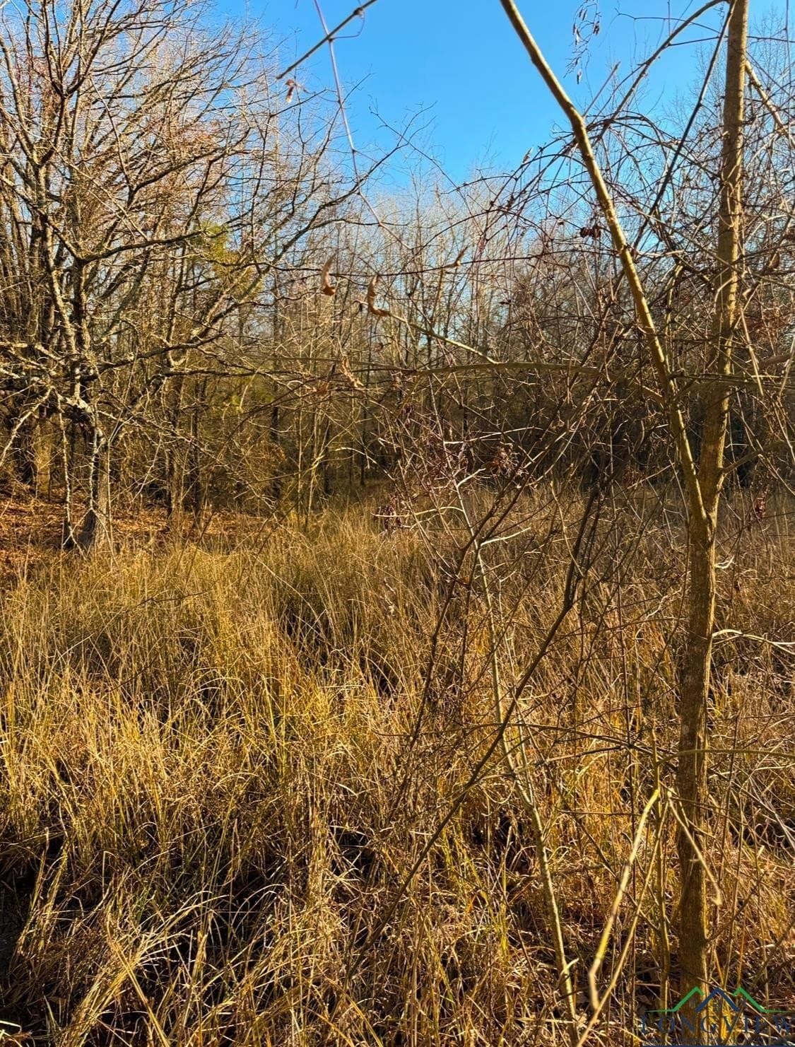 15 acres in Red River County - photo 11