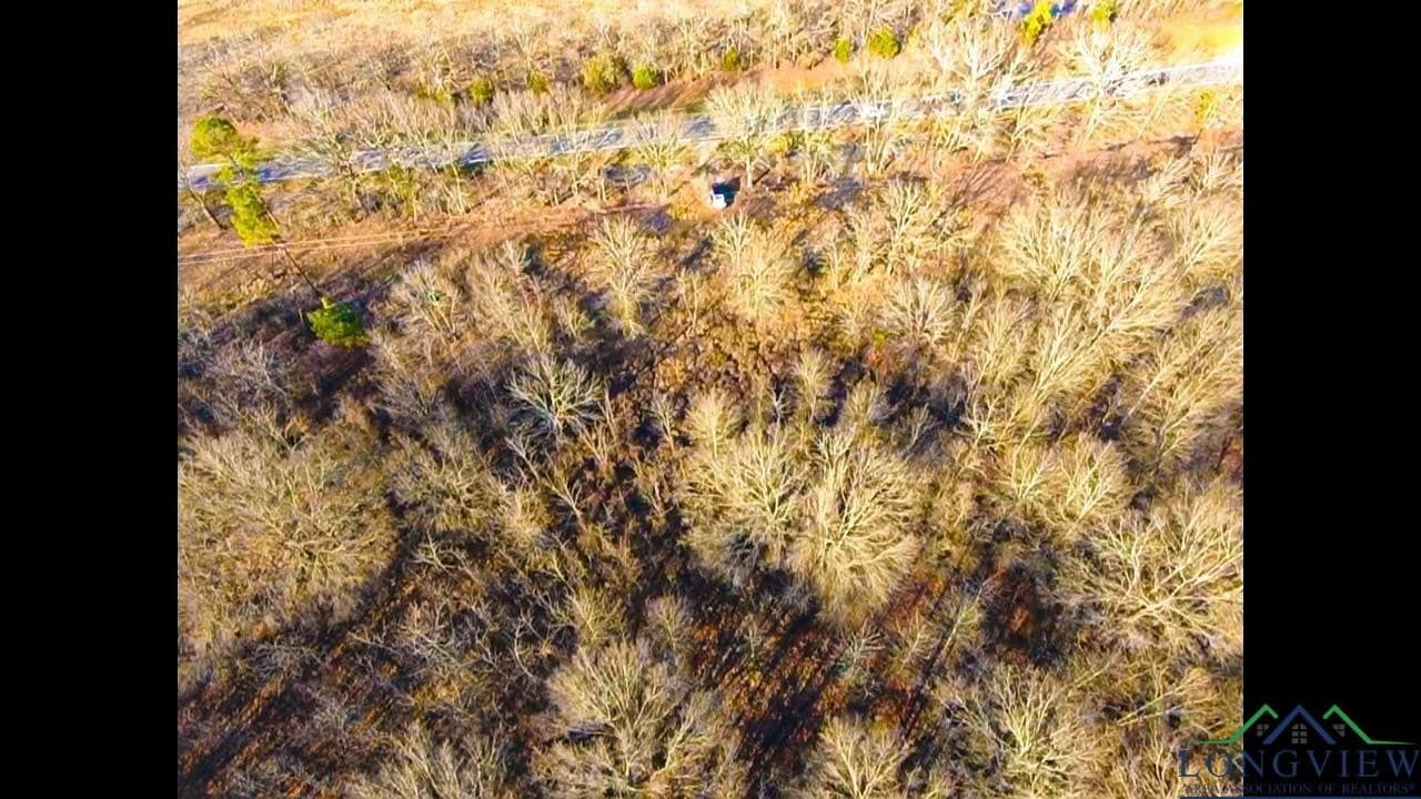 15 acres in Red River County - photo 6
