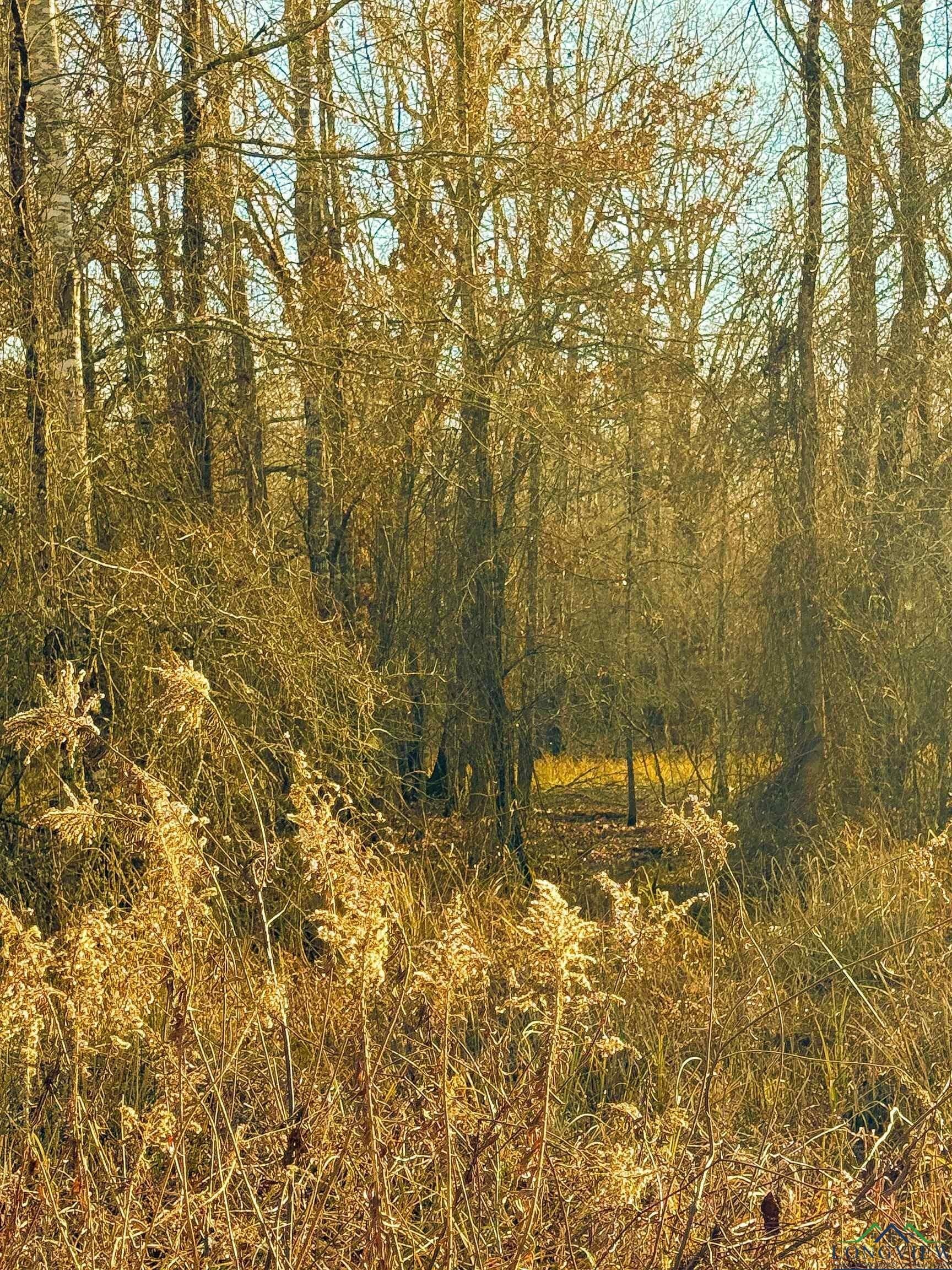 15 acres in Red River County - photo 8