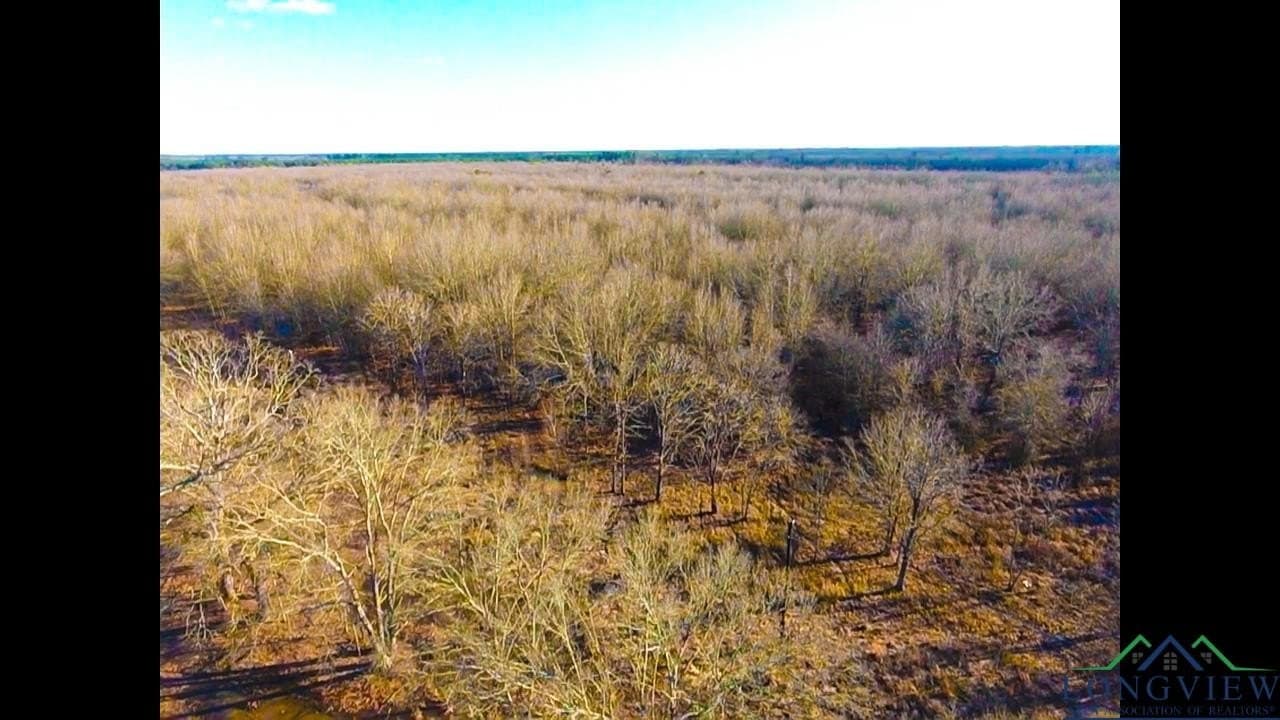 15 acres in Red River County - photo 2
