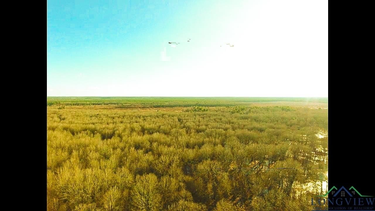 15 acres in Red River County - photo 5