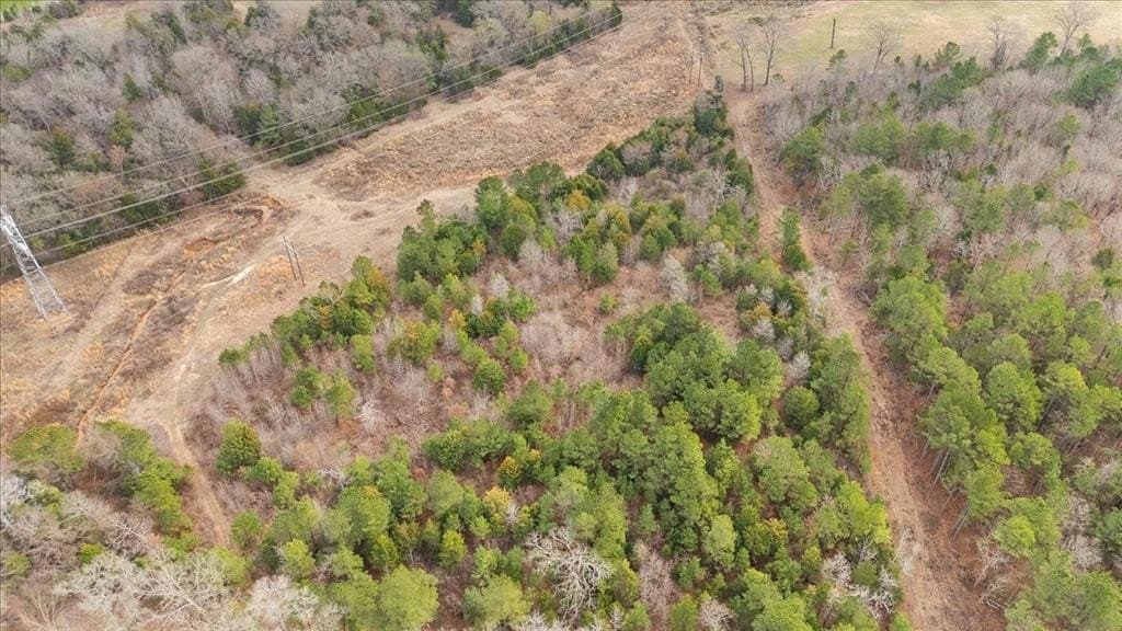 29.32 acres in Van Zandt County - photo 5