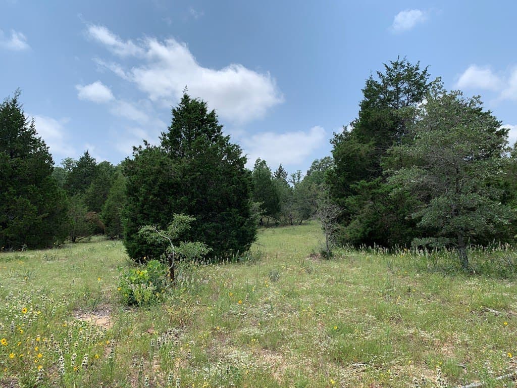 148.7 acres in Henderson County - photo 2