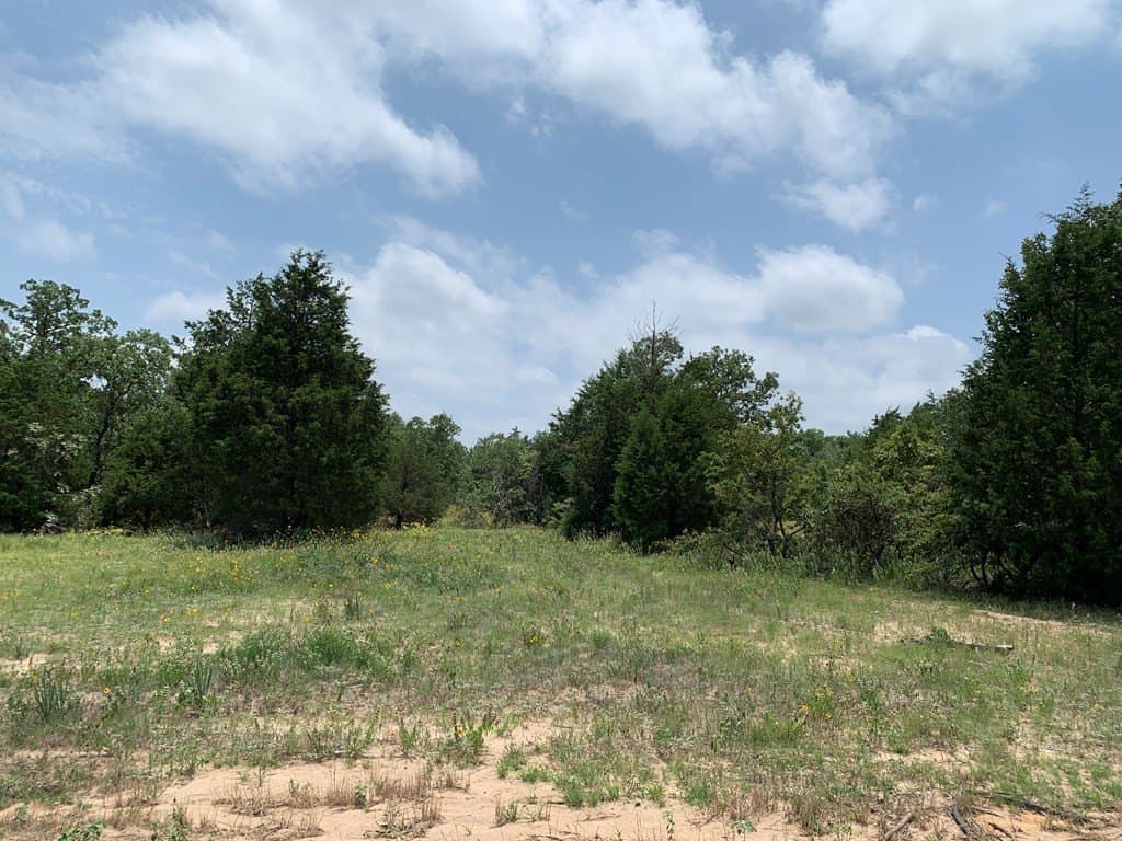 148.7 acres in Henderson County - photo 13