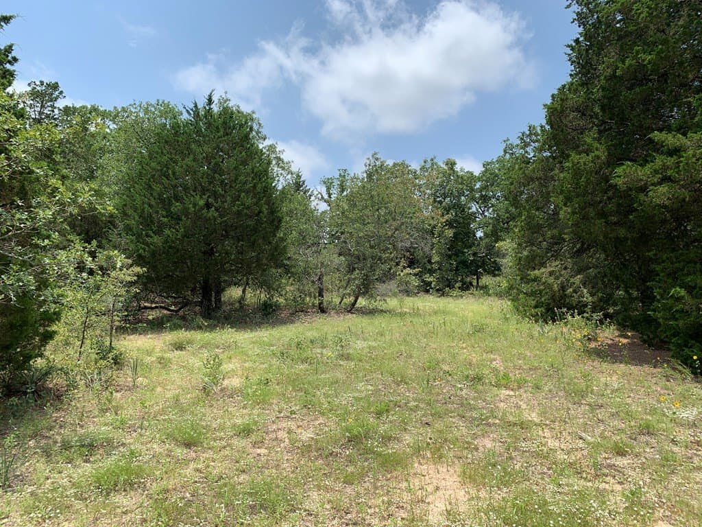148.7 acres in Henderson County - photo 5
