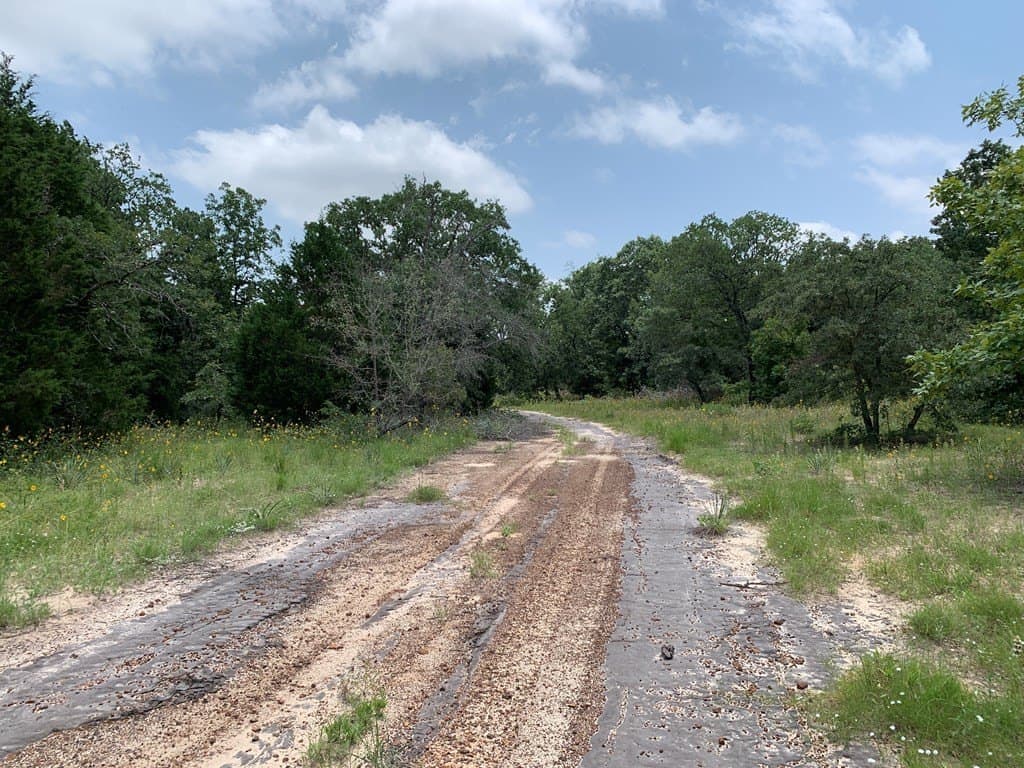 148.7 acres in Henderson County - photo 3